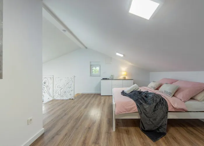 Shaula 1 By Guide * 希贝尼克